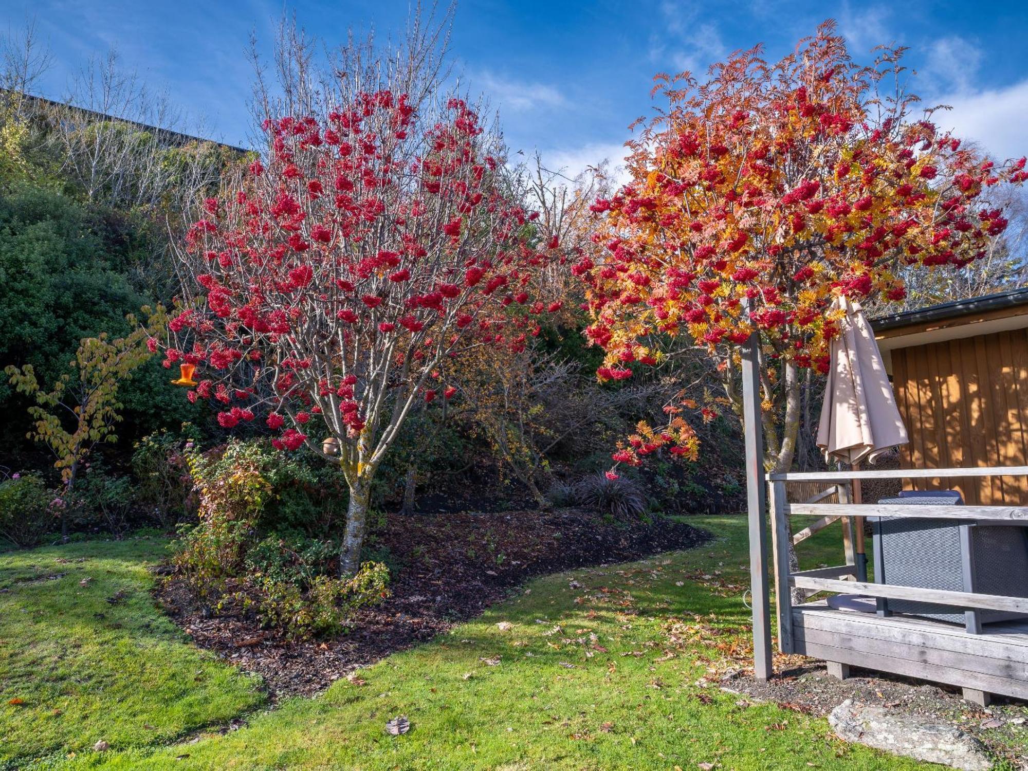 Wanaka Springs Lodge Esterno foto